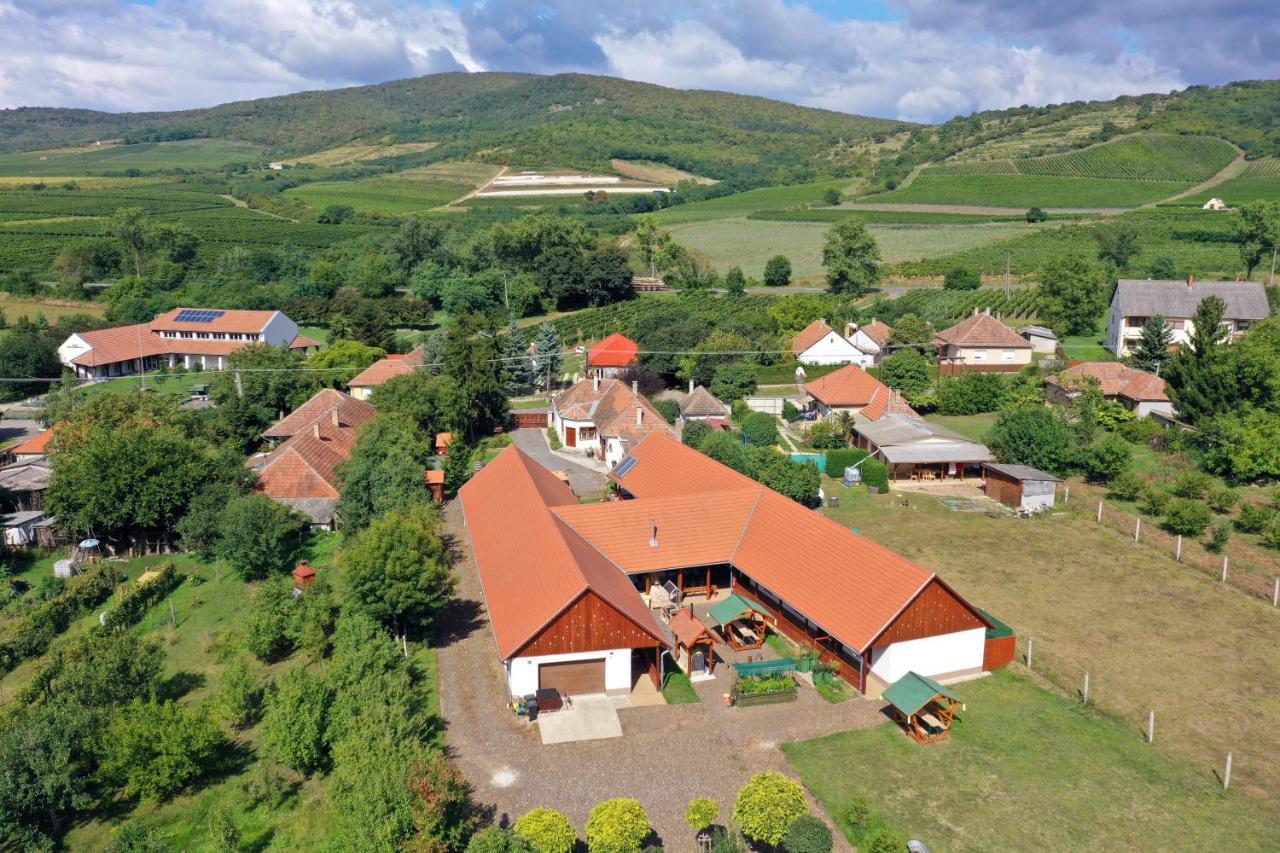 Nyakiglab Villa Szegi Екстер'єр фото